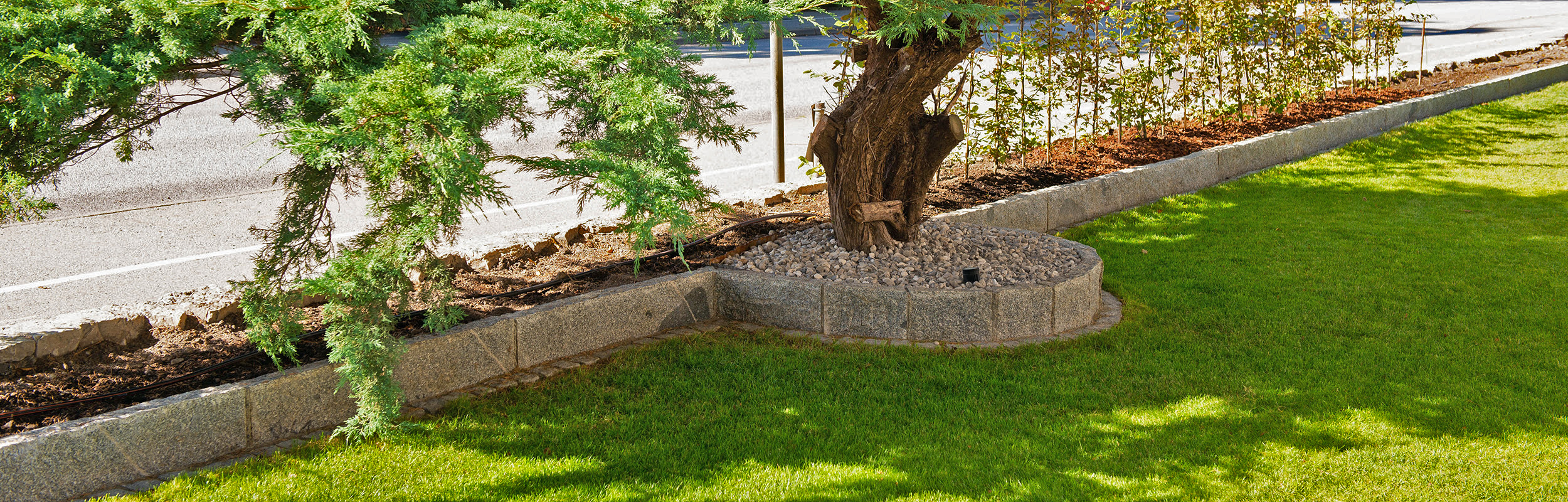 Grå kantsten i granit runt träd och rabatt