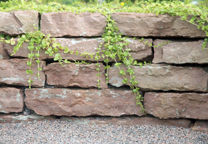 Kalkstensmur röd