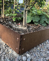 Kantstål Corten hörn 12 cm