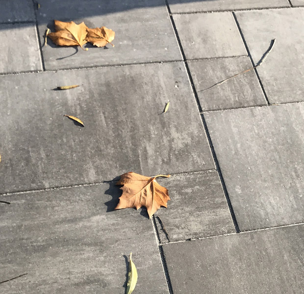 Stenplattor med några löv på.
